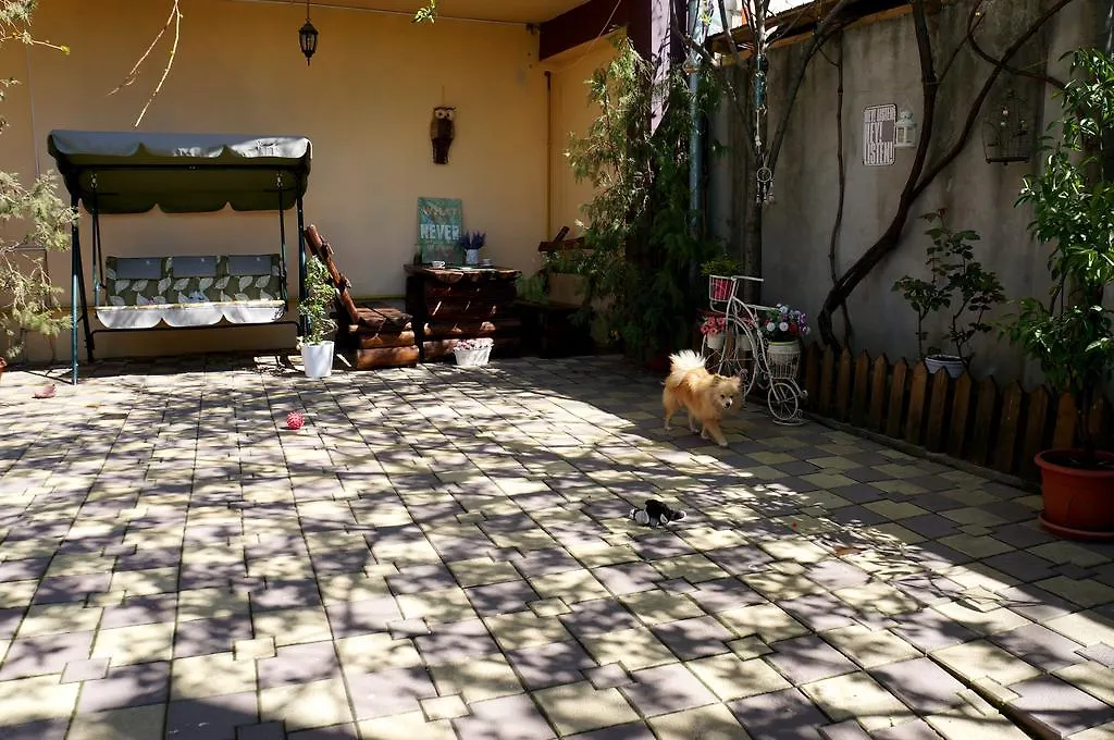 Collosal Apartment With Garden Bucarest