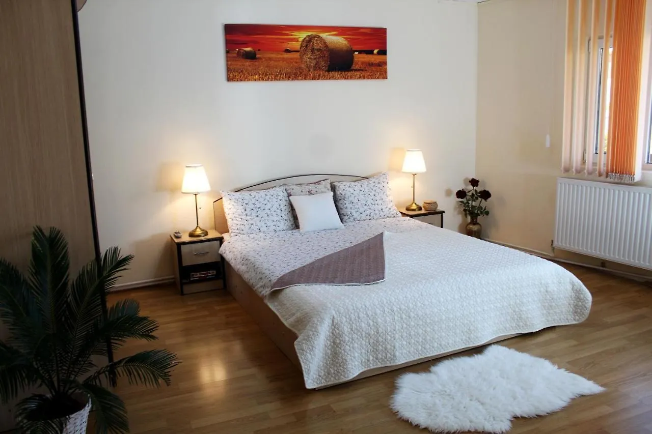 Collosal Apartment With Garden Bucarest