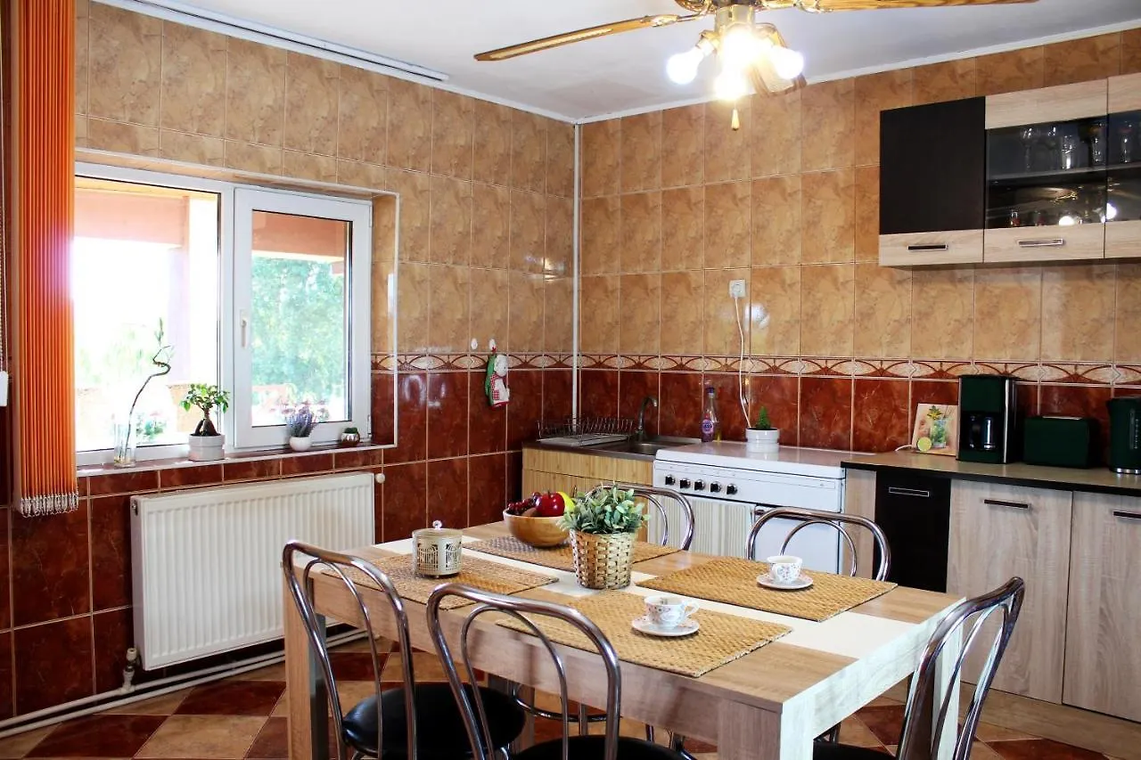 Collosal Apartment With Garden Bucarest