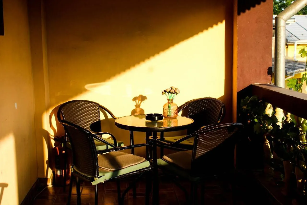 Collosal Apartment With Garden Bucharest Romania