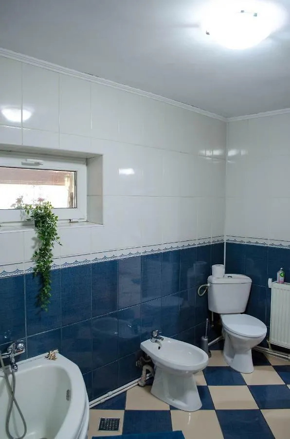 Collosal Apartment With Garden Bucarest Romania
