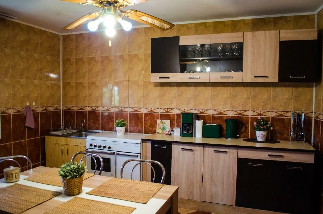 Collosal Apartment With Garden Bucarest