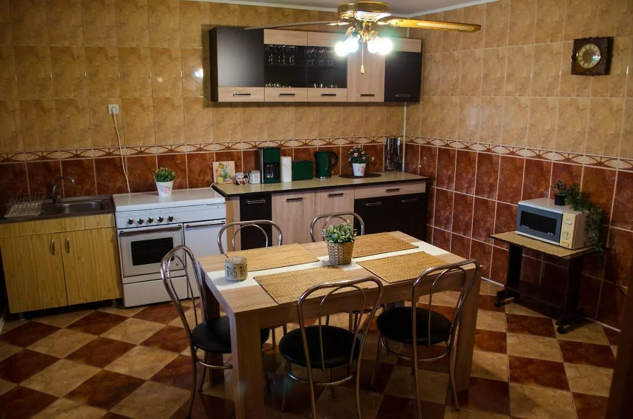 Collosal Apartment With Garden Bucarest