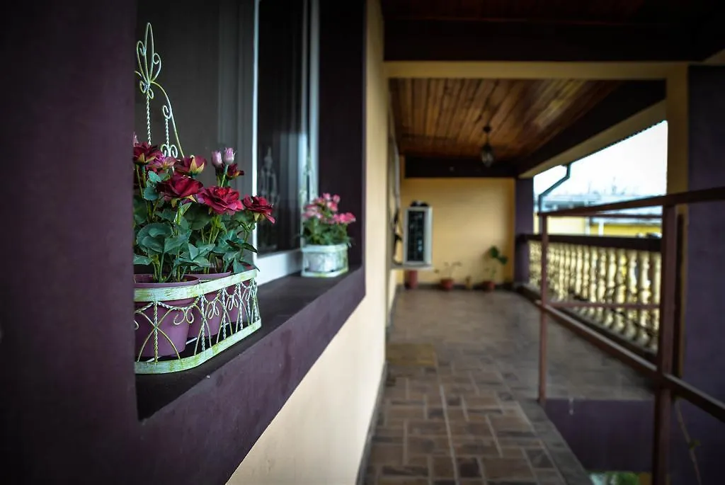 Collosal Apartment With Garden Bucureşti 0*,