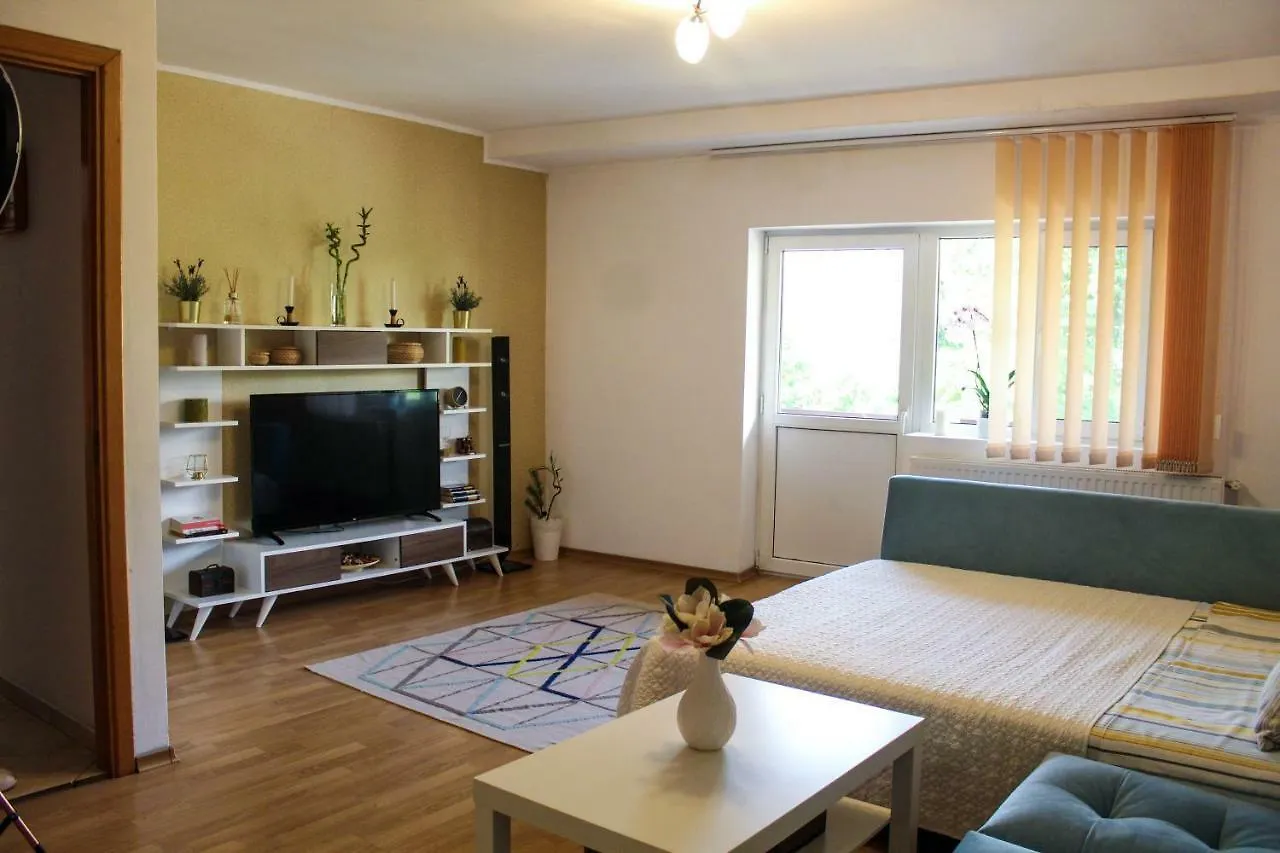 Collosal Apartment With Garden Bucureşti 0*,  România